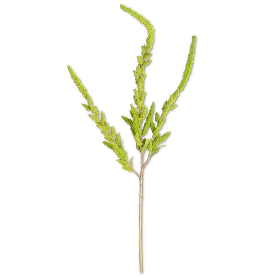 Green Amaranthus Stem Winterland