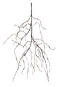 Lighted Branch