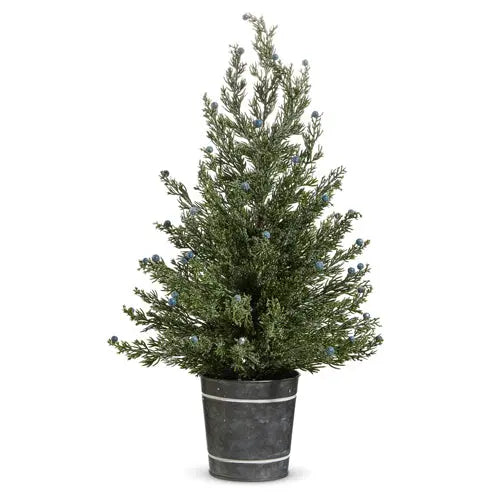 PINE TREE IN GALVANIZED BUCKET My Store