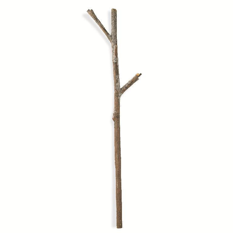 Snowy Log Branch
