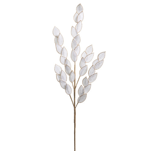 White Leaf Spray