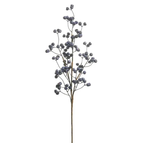 Blue Berry Spray winterland