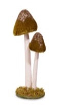 Green Mushroom Cluster