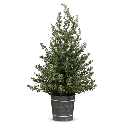 PINE TREE IN GALVANIZED BUCKET