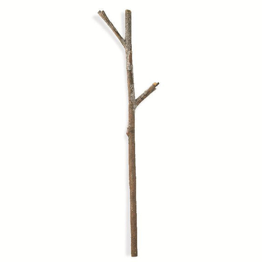 Snowy Log Branch