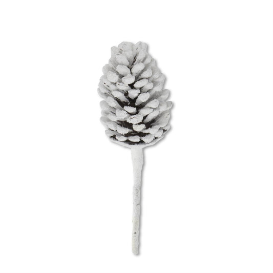 Slightly Snowy Pinecone