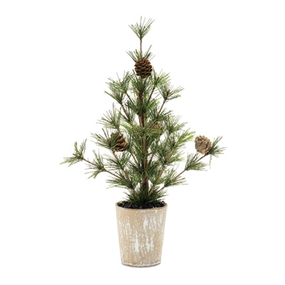 POTTED MINI TREE