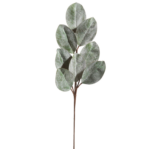 ICED MAGNOLIA LEAF SPRAY
