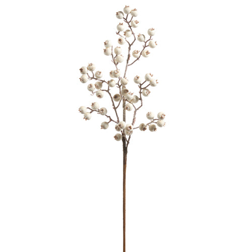 White Berry Spray