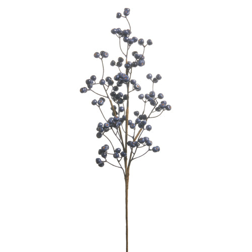 Blue Berry Spray