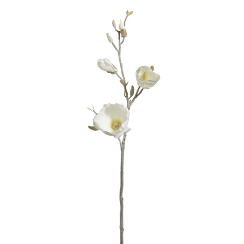 Iced Magnolia Branch