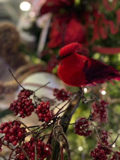 IMG_3172.jpeg__PID:691f9dde-0234-47af-aa6d-90c721c7e524